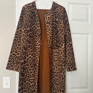 Zara Leopard Jacket